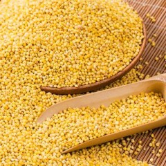 沁州黄小米