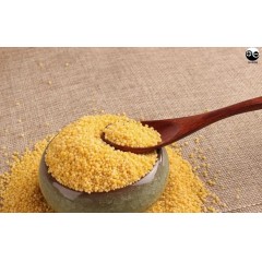 沁州黄小米