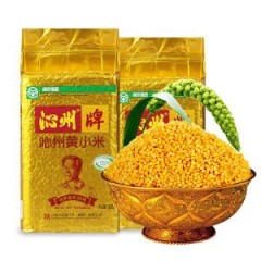 沁州黄小米