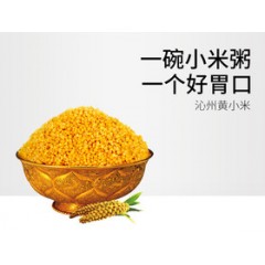沁州黄小米