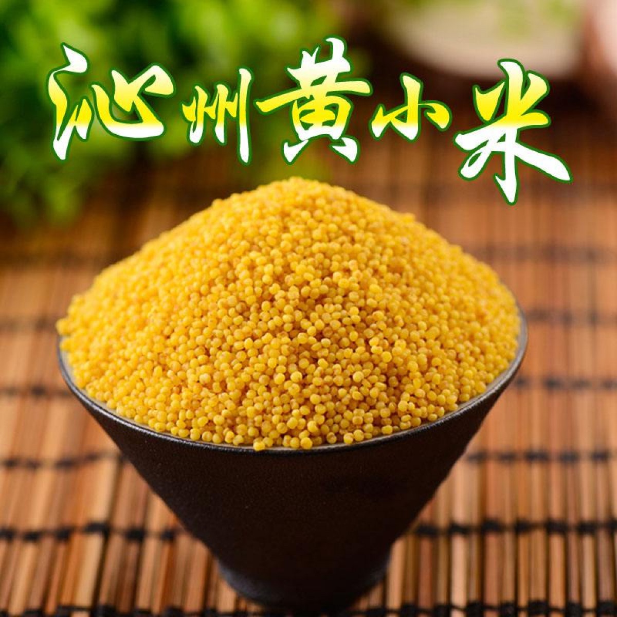 沁州黄小米