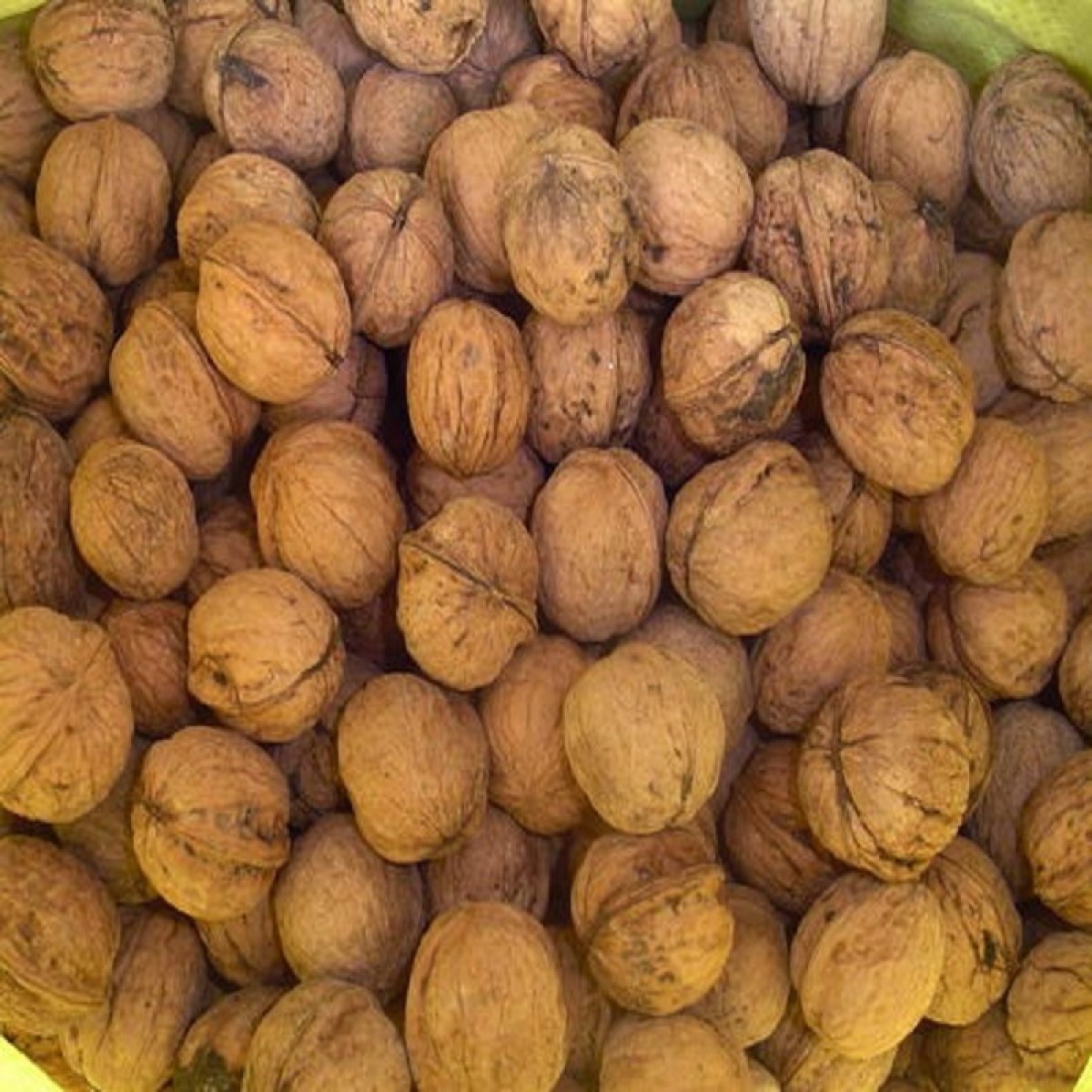 山西原平特产  农家直销  物美价廉  16.8元5斤