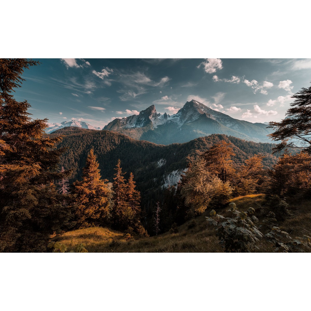 【产品特色】002骏枣