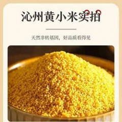 沁县黄小米