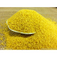沁州黄小米