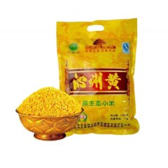 沁州黄小米