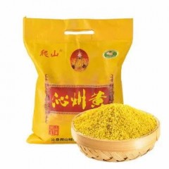 沁州黄小米