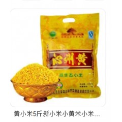 沁州黄小米