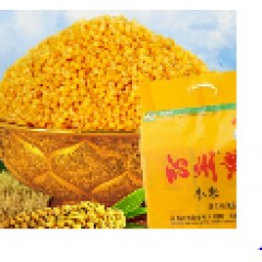 沁州黄小米