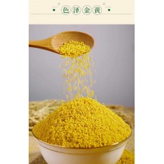 沁州黄小米