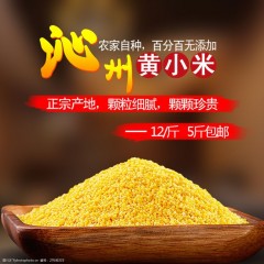 沁州黄小米