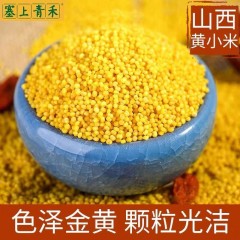 沁州黄小米