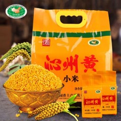 沁州黄小米
