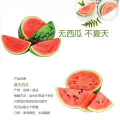 农家夏宝西瓜