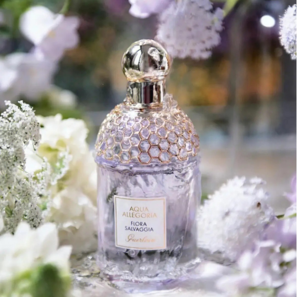 娇兰芳野仙踪香型淡香水50ml