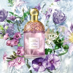 娇兰芳野仙踪香型淡香水